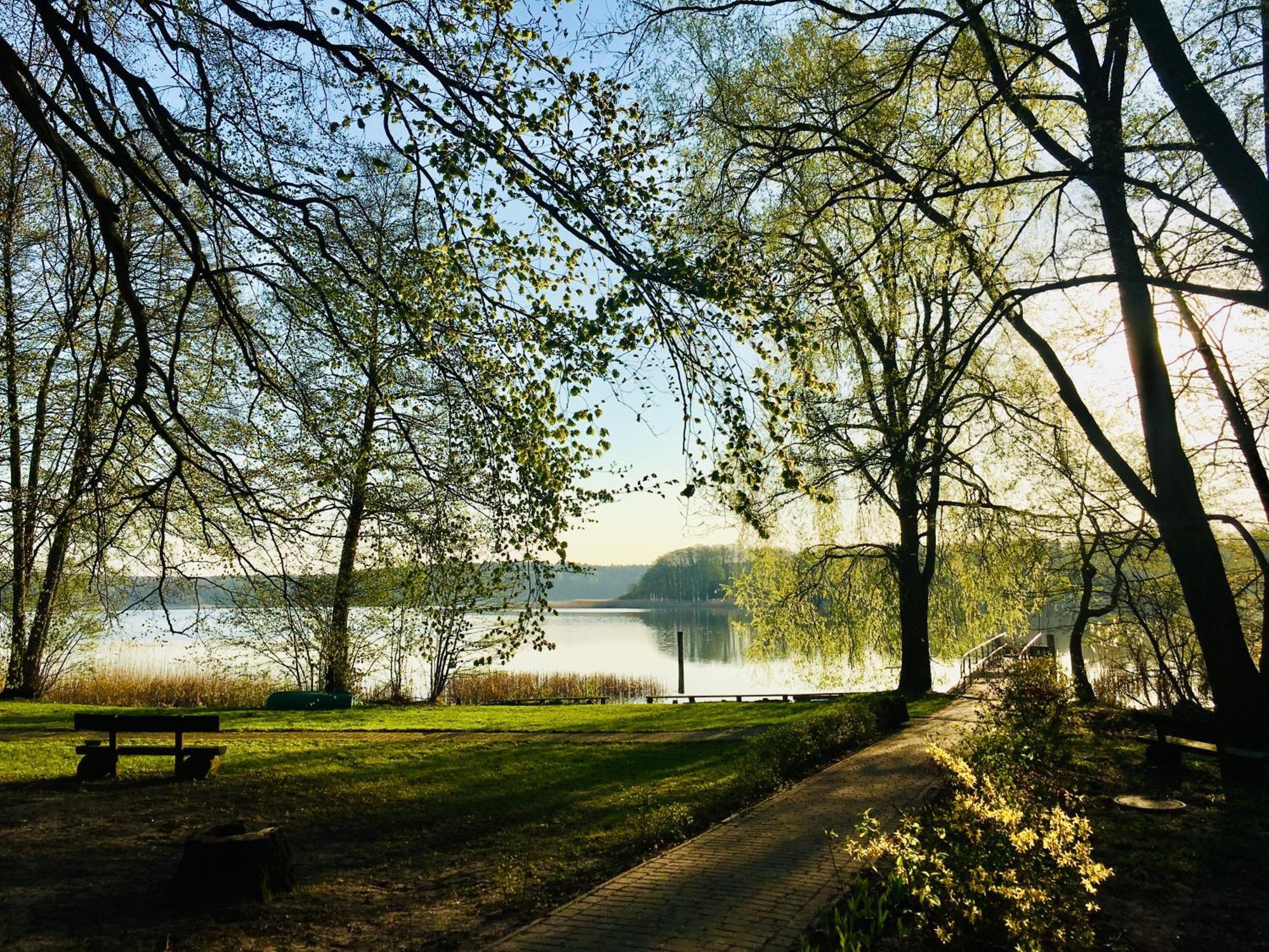 Waldschenke Stendenitz Uebernachten Im Wald Am See ノイルピーン エクステリア 写真